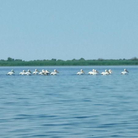 Gorgova Delta Village Kültér fotó