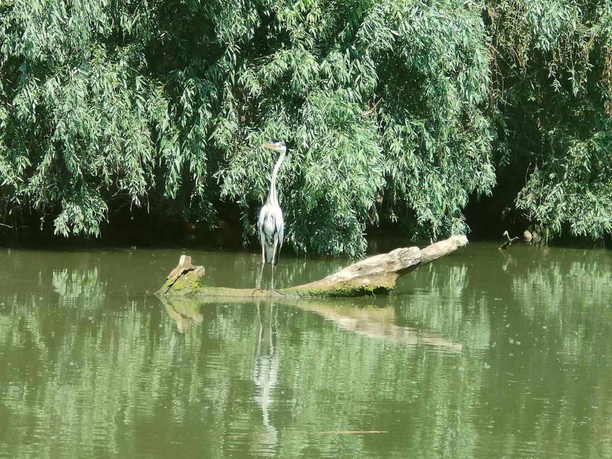 Gorgova Delta Village Kültér fotó